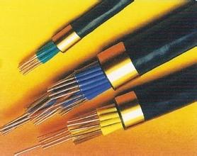 WDZYJE电缆 从分类到应用的新视角与故障应对指南